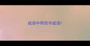 成语中带四字成语