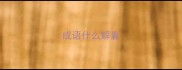 成语什么解囊