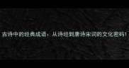 古诗中的经典成语从诗经到唐诗宋词的文化密码