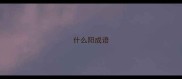 什么阳成语