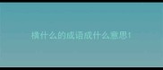 横什么的成语成什么意思
