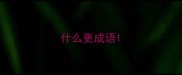 什么更成语