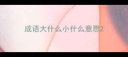 成语大什么小什么意思