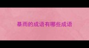 暴雨的成语有哪些成语