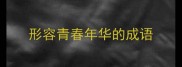 形容青春年华的成语