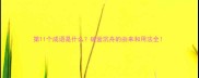 第11个成语是什么破釜沉舟的由来和用法全