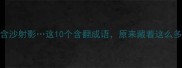 含冤负屈含沙射影这10个含翻成语原来藏着这么多文化彩蛋