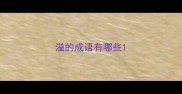 溢的成语有哪些