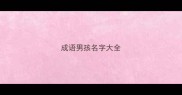 成语男孩名字大全