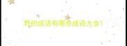 野的成语有哪些成语大全