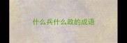 什么兵什么政的成语