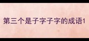 第三个是子字子字的成语