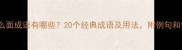 常见一什么面成语有哪些20个经典成语及用法附例句和记忆技巧