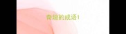奇趣的成语