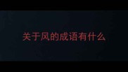 关于风的成语有什么