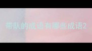 带队的成语有哪些成语