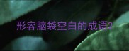 形容脑袋空白的成语