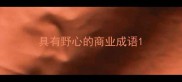 具有野心的商业成语