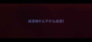 成语细什么不什么成语