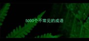 5000个不常见的成语