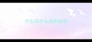 什么凤什么龙的成语