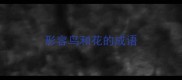 形容鸟和花的成语