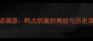 成语溯源鸭占鹊巢的典故与历史演变