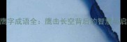 带鹰字成语全鹰击长空背后的智慧与启示
