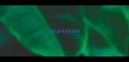 与孔孟有关的成语