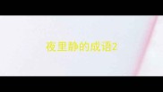 夜里静的成语