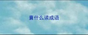 囊什么读成语