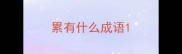 累有什么成语