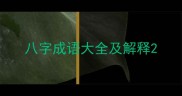 八字成语大全及解释