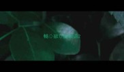 畅欲的成语