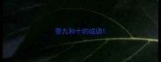 带九和十的成语