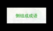 侧组成成语