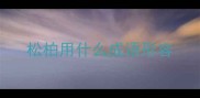 松柏用什么成语形容