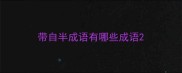 带自半成语有哪些成语