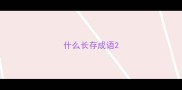 什么长存成语
