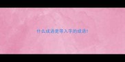 什么成语是带入字的成语