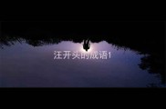 汪开头的成语