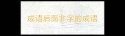 成语后面非字的成语