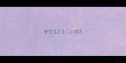 肿字成语是什么成语