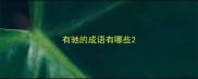 有驰的成语有哪些