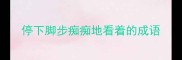 停下脚步痴痴地看着的成语