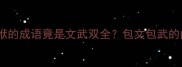 成语解密包袱的袱的成语竟是文武双全包文包武的由来与使用场景