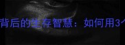 成语百科流离失所背后的生存智慧如何用3个方法化解人生危机