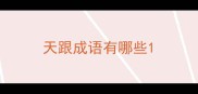 天跟成语有哪些