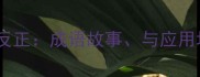 拨乱反正成语故事与应用场景