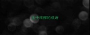 关于桃柳的成语
